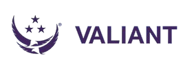 RGB Valiant logo purple hr removebg preview